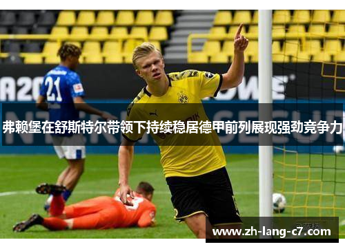 弗赖堡在舒斯特尔带领下持续稳居德甲前列展现强劲竞争力